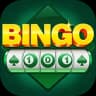Bingo 101 game icon