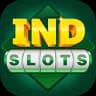 Ind Slots game icon