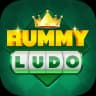 Rummy Ludo game icon